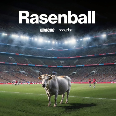 Rasenball: Red Bull und der moderne Fußball